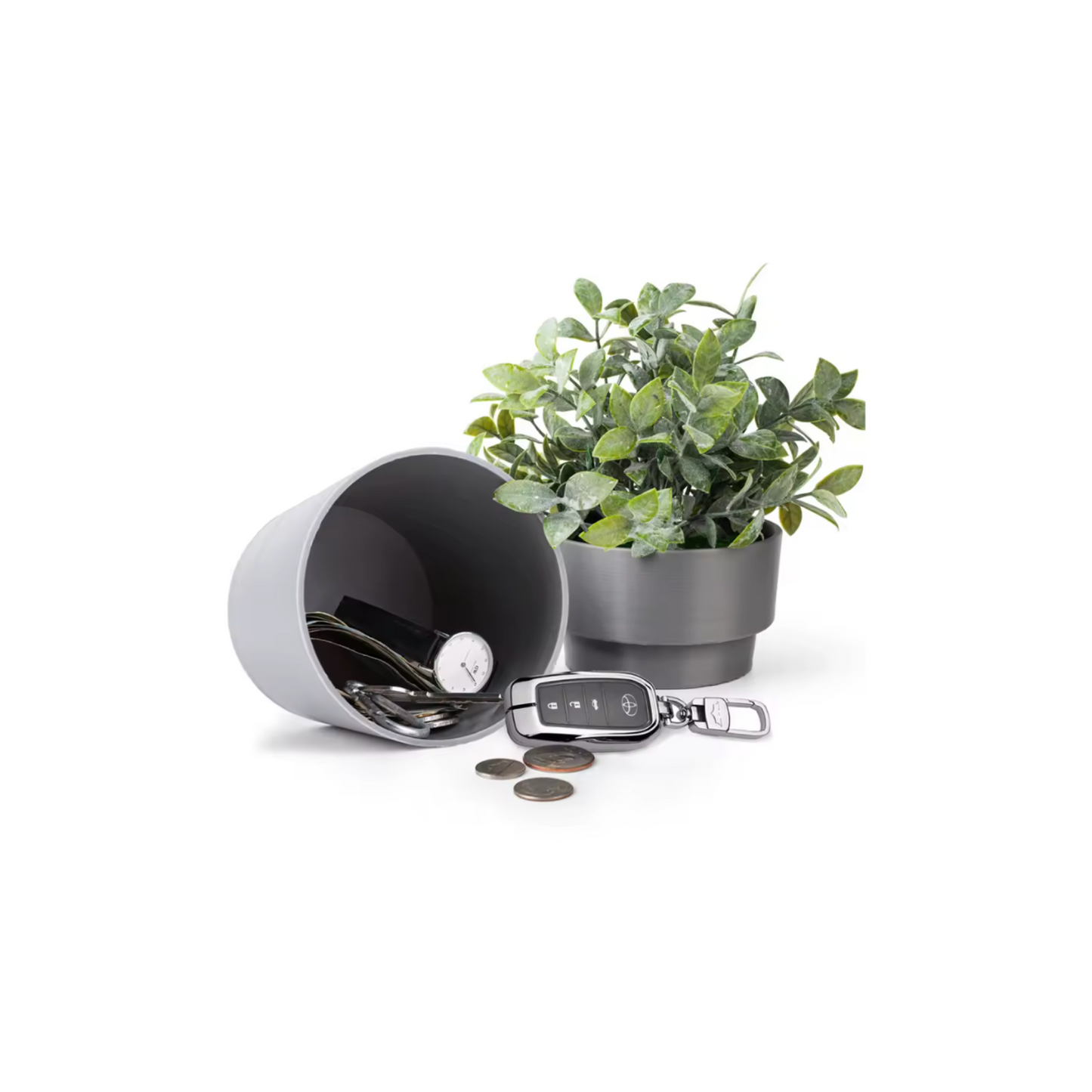 Plant