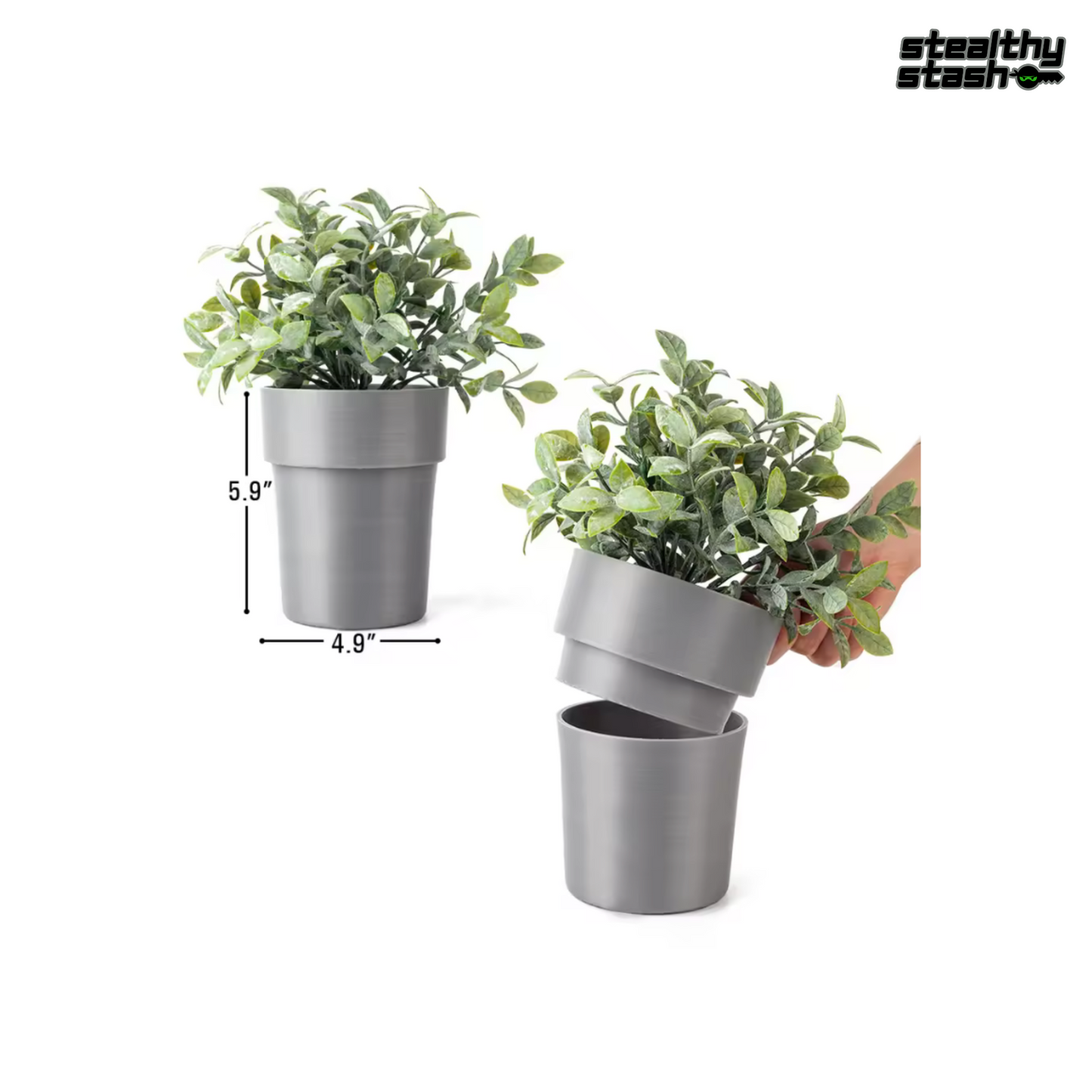 Plant