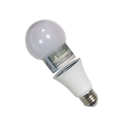 Light Bulb