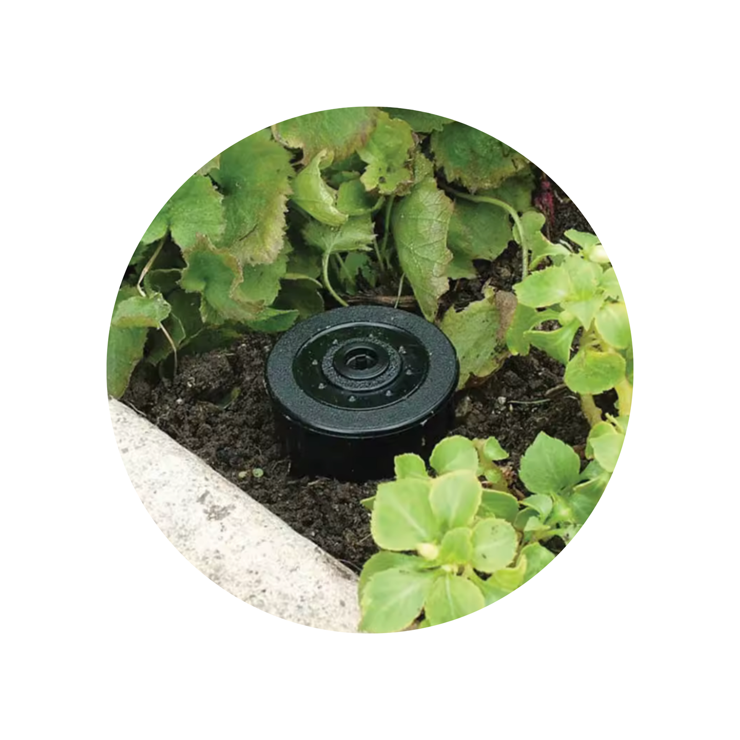 Sprinkler