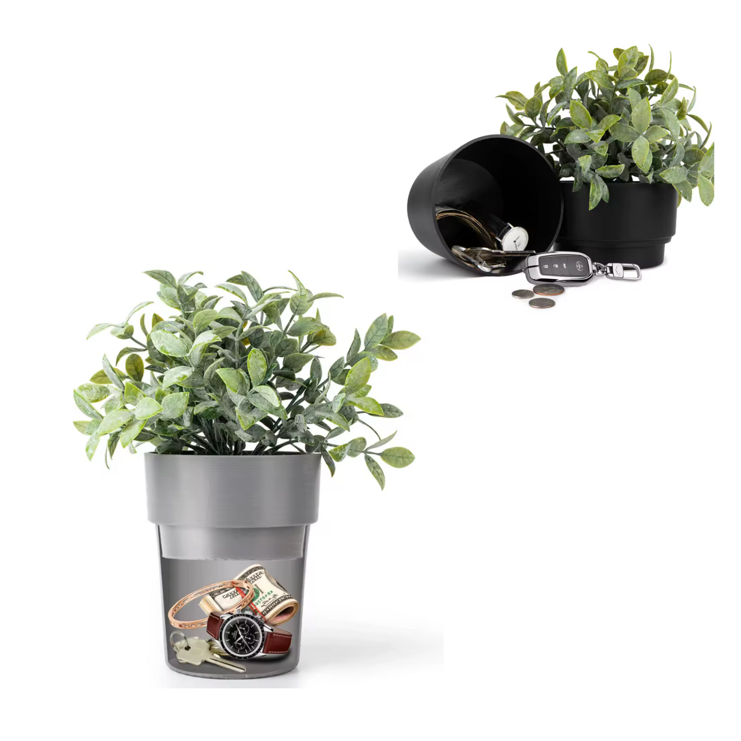 Plant